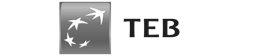 TEB_
